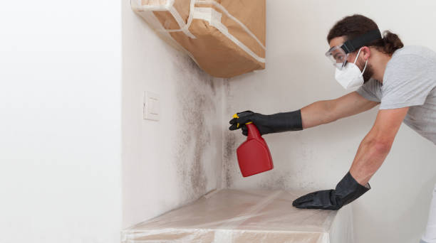 Professional Bathroom Mold Removal technician working in Dysart, PA