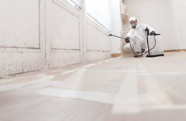 24/7 Emergency Bathroom Mold Removal experts in Dysart, PA